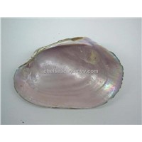 pink shell raw materials