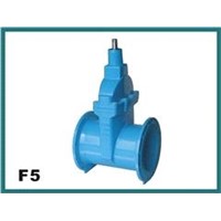 F5 resilient seated gate valve