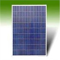 Polycrystalline Solar Module - 230W