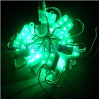 4 LEDs Green Module in Plastic Case (PL-M28G4)