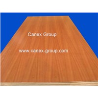 Canex UV Pre-finished Sapele plywood