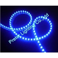 Clear PVC Waterproof Flexible LED Strip in Blue (PL-FS96B96)