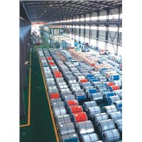 Prepainted Aluzinc Steel Coils