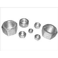 stainless steel nuts