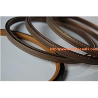 PTFE oil seal