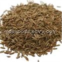 Cumin Seed