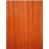 Fancy plywood Catalog|Linyi Titan Globe Trading Co., Ltd.