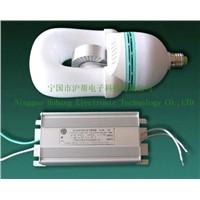 Electrodeless Induction Lamp