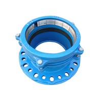 Restrained Flange Adapter