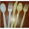 plastic disposable cutlery moulds