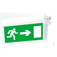 Emergency exit sign box lights