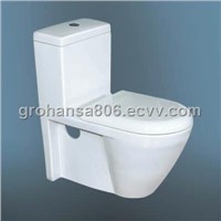 European Style Toilet
