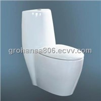 Porcelain Toilet