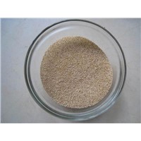 Choline Chloride 50% Corn Cob Powder