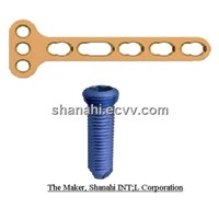 Bone Locking Plates and Screws