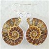 Pair Ammonite Fossil Earring 925 Sterling Silver
