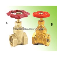 Float Ball Valve/Float Valve