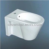 Hydrotherapy Bathtub