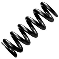 Large Coil Spring