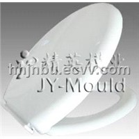 Plastic Toilet Seat Cover Mould
