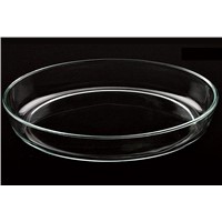 Pyrex Glass Baking Plate
