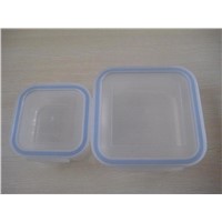 Pyrex Glass Container