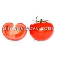 Tomato Paste in Aseptic New Steel Drum