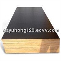 Film Faced Plywood with Black Film
