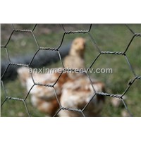 Chicken Wire Fence