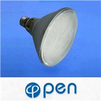 LED Lamp / LED Spot Lamp PAR38