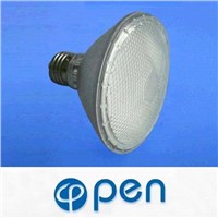 LED Spot Lamp (PAR30)