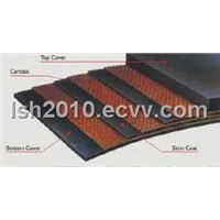 Conveyor Belt with Polyester Canvas