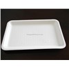 Disposable Biodegradable Tray