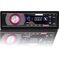 Car DVD Player