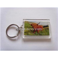 Acrylic keychain