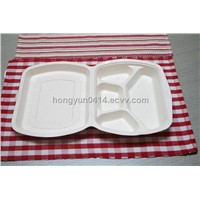 Disposable Biodegradable Lunch Box