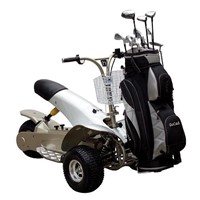 Golf Motor Scooter (SX-E0702)