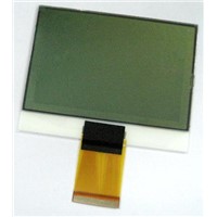 Graphic LCD Module (COG)