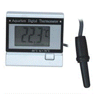 Digital Mini Thermometer