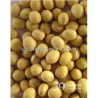 Soy Bean Extract