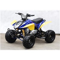 110cc Quad ATV (YH110)