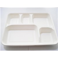 100% Biodegradable Five Compartments Box