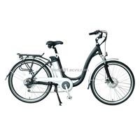 Lithium Electric Bicycle