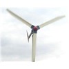 Wind Power Generator (FD-1kW)