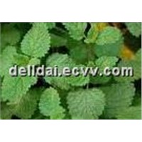 Lemon Balm Extract