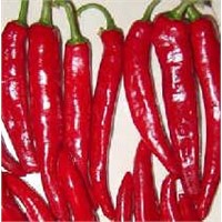 Capsicum Annuum Extract (Capsaicin)