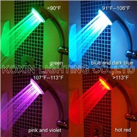 RGB Shower Head Light