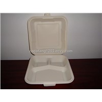 Biodegradable Lunch Box