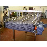 Chain Conveyor Used in Assemble Line