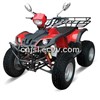 Gas ATV, 250CC ATV (JSL-ATV12)